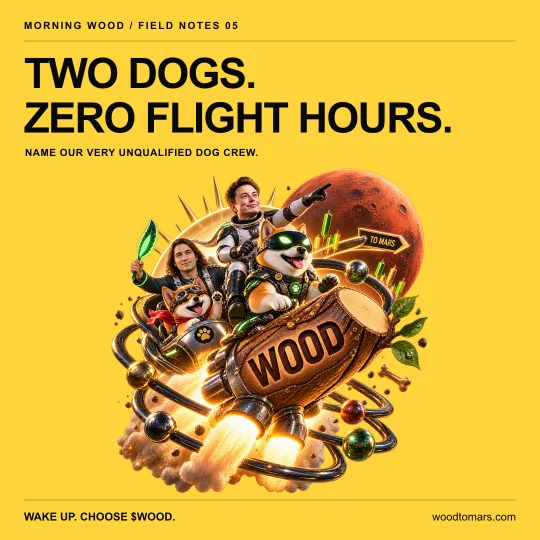 TWO DOGS. ZERO FLIGHT HOURS. NAME OUR VERY UNQUALIFIED DOG CREW.