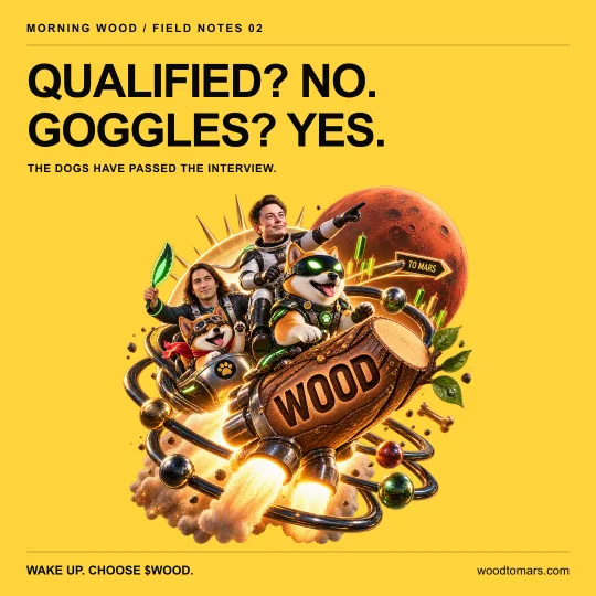 QUALIFIED? NO. GOGGLES? YES. THE DOGS HAVE PASSED THE INTERVIEW.